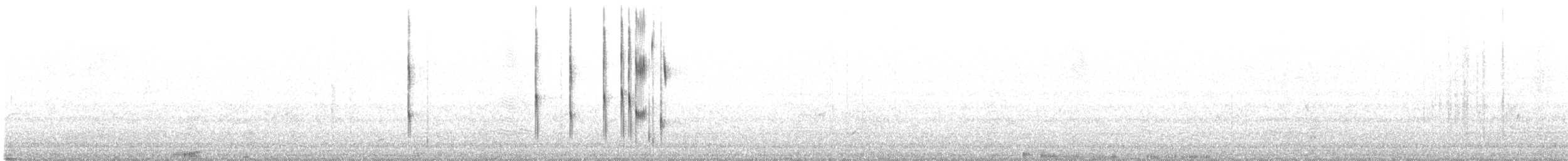 Viudita Patagona - ML645235169