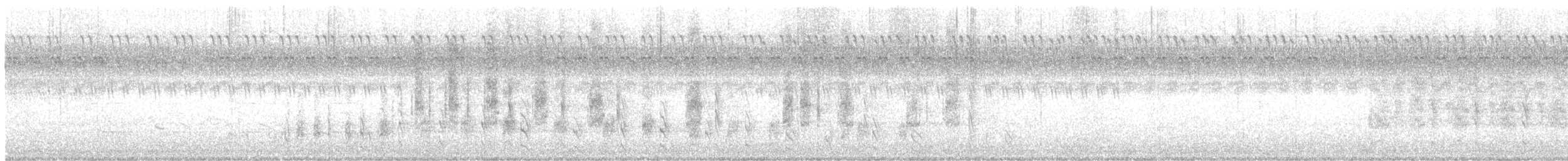 Brahmakauz - ML645236138