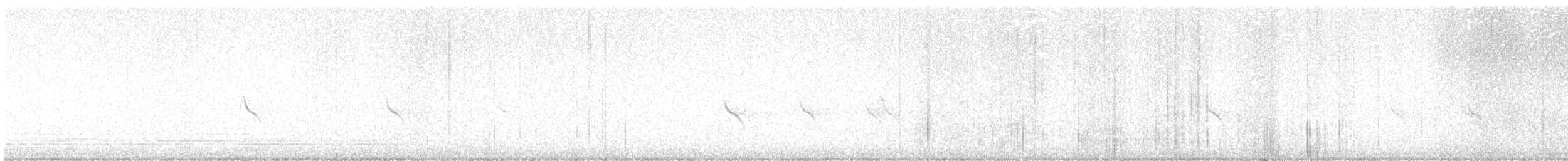 Abendkernbeißer - ML645236832