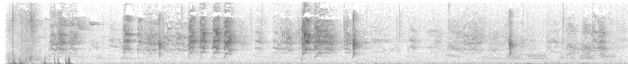 Süd-Fleckenmaskentyrann - ML645236834