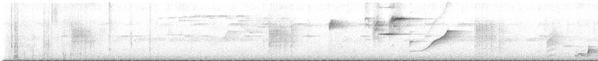 Schieferspelzer - ML645236977