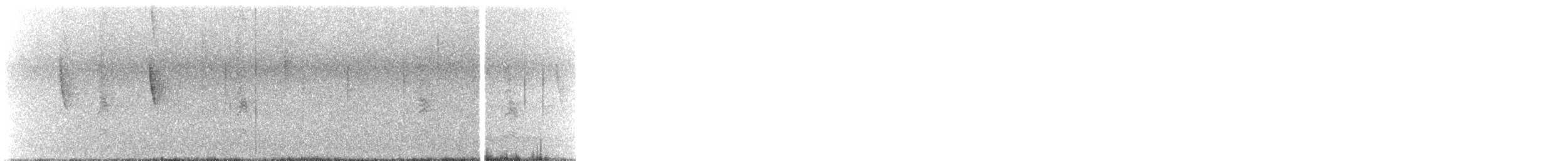 Singammer - ML645237196