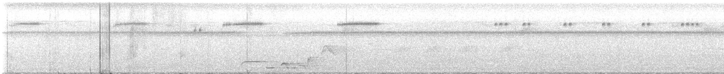 Bindenbauch-Zaunkönig - ML645237400