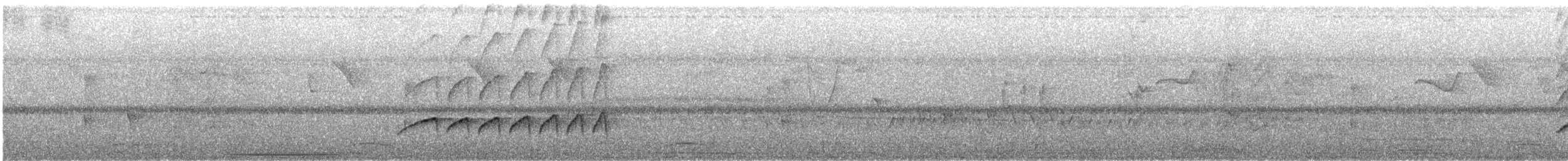 Rotrücken-Sensenschnabel - ML645237539