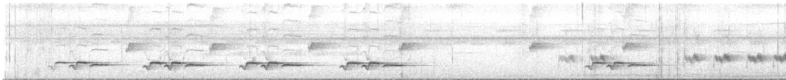 Белогрудый крапивник (pittieri/costaricensis) - ML645237702