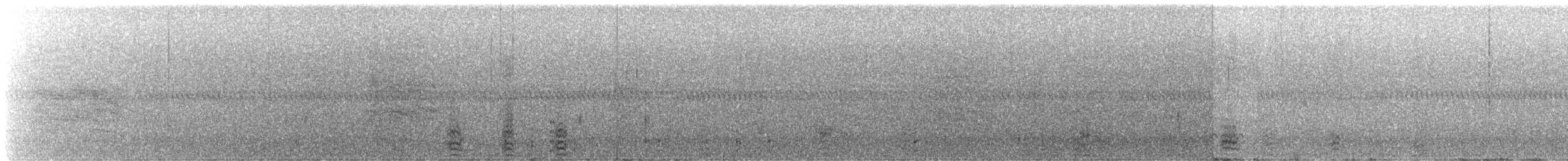 Ring-necked Duck - ML645237876