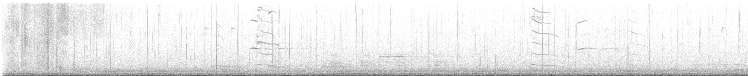 Short-billed Gull - ML645237908