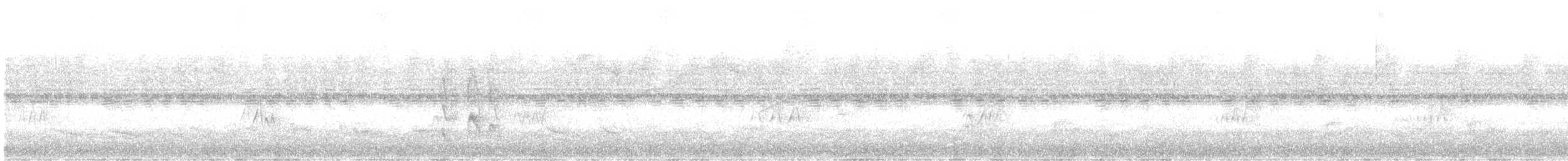 Mouse-colored Tyrannulet - ML645238768