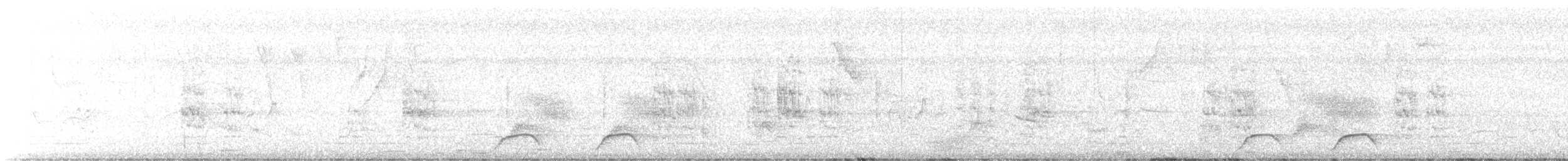 Черноголовый ангу - ML645238959