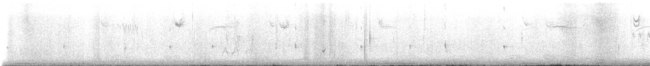 Чечевиця кармінова - ML645239209