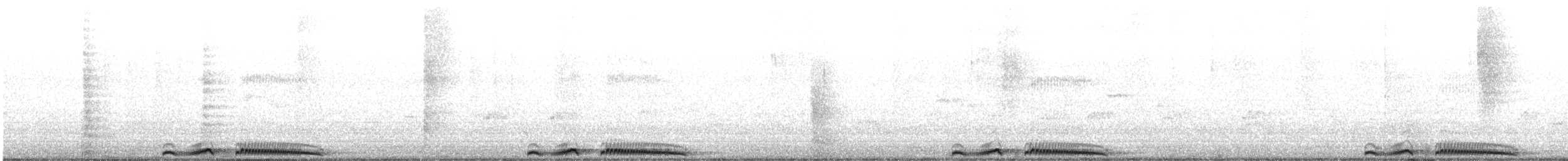 Горлиця китайська (підвид chinensis/tigrina) - ML645239707