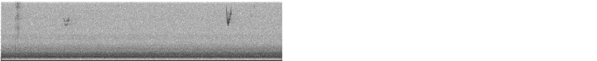 Карнатка білоброва - ML645239821