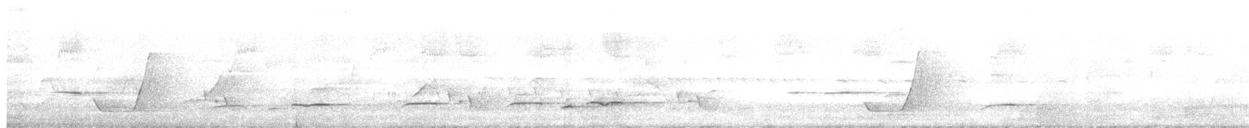 Кукавка австралійська [група variolosus] - ML645239869