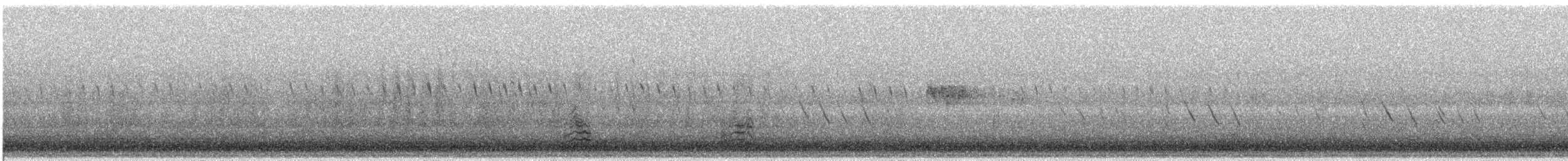 Качка sp. - ML645239963