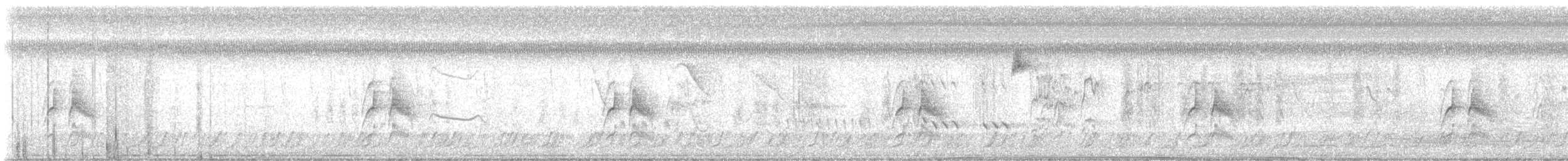 Пію блідий - ML645239992