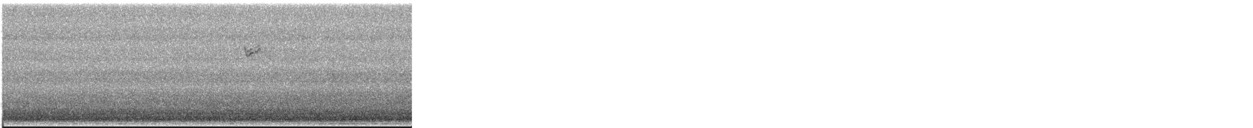 Пасовникові sp. - ML645240355