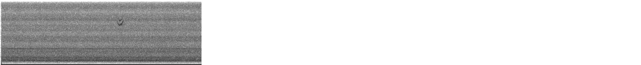 Пасовникові sp. - ML645240376