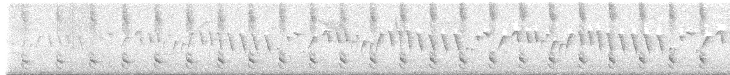 Тапакуло перуанський - ML645240908