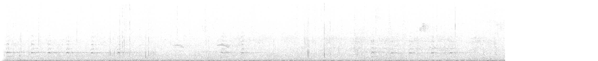 datel chocholatý - ML645240996