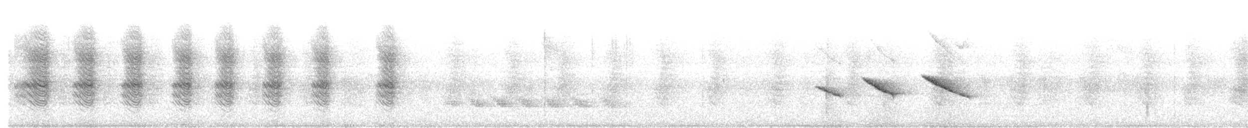 Morgenammer - ML645241005