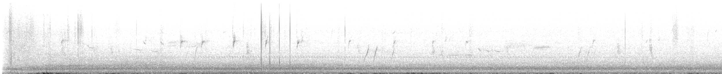 Curve-billed Thrasher - ML645241404