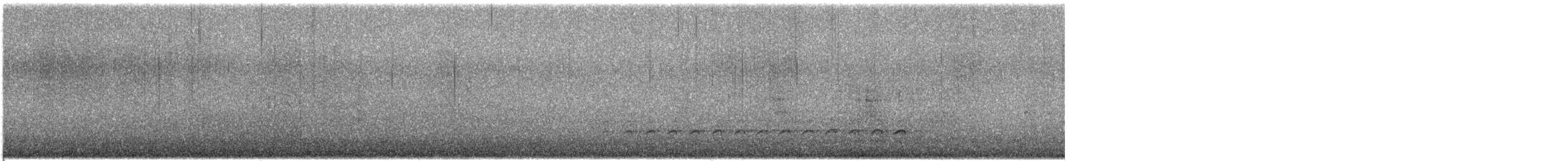 brhlík běloprsý - ML645241800