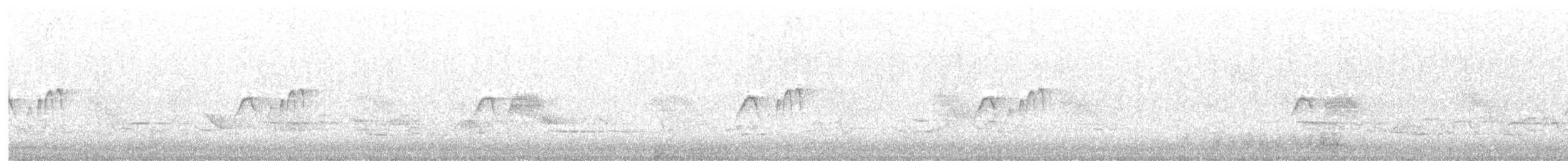 Eastern Phoebe - ML645242349