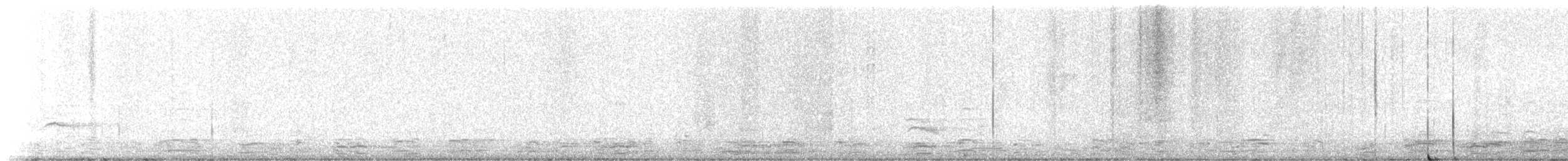 Townsend's Solitaire - ML645242887