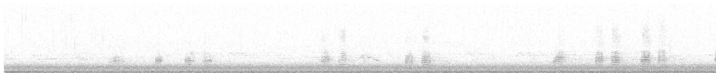 Germano reale - ML645243285