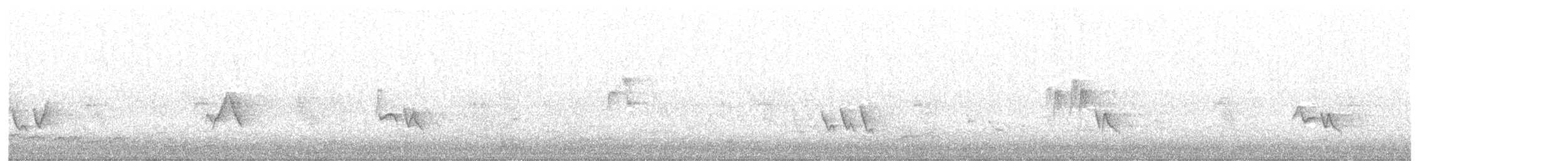 Vireo occhirossi - ML645243696