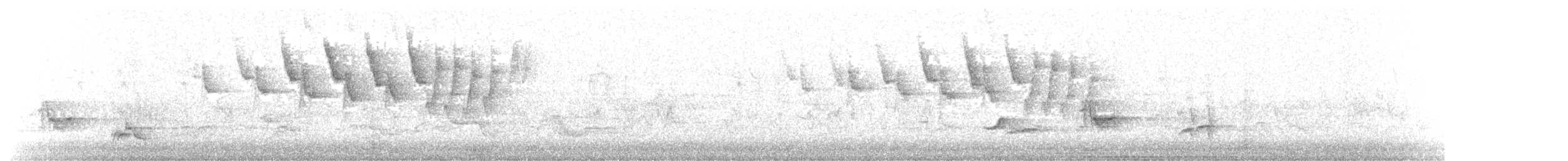 Nashville Warbler - ML645243754