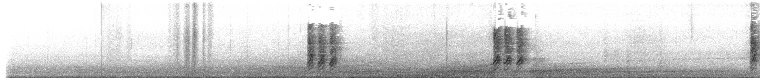 Black-billed Magpie - ML645243886