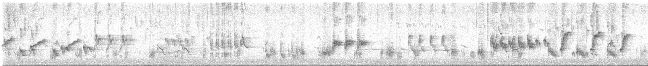 Carricero Australiano - ML645244274