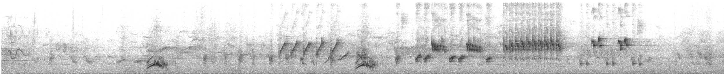 Spotless Crake - ML645244306