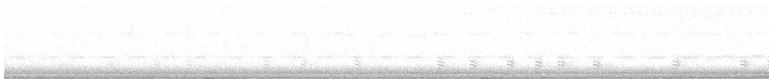 White-breasted Nuthatch - ML645244488