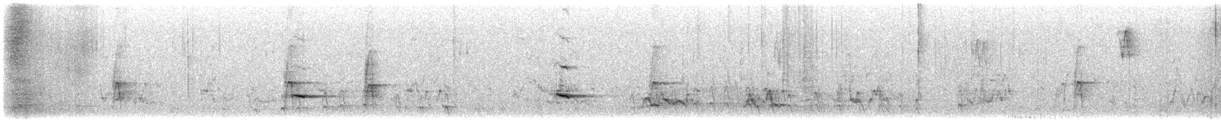 ハエトリツグミ - ML645244609