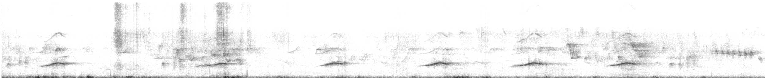 Silbador Cabezón Oriental - ML645244937