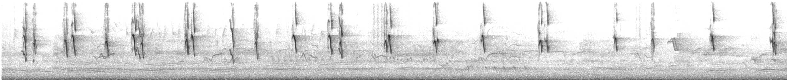 hvitsmykkehonningeter - ML645245085