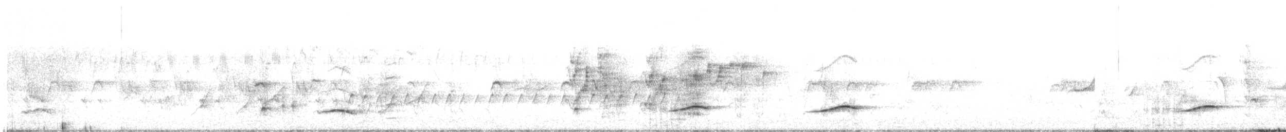 Silbador Cabezón Oriental - ML645245092