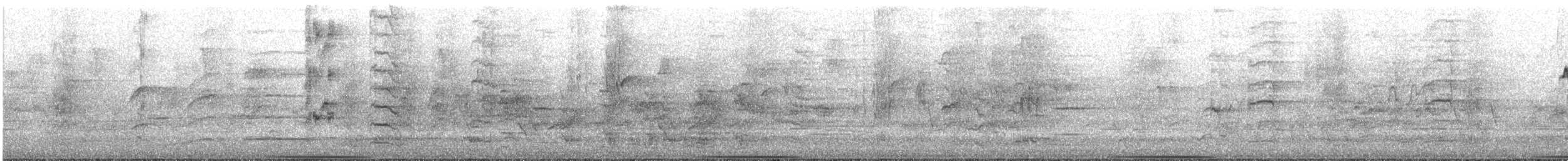 Common Bronzewing - ML645245233