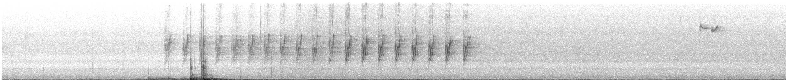Mielero Cabecipardo - ML645245344