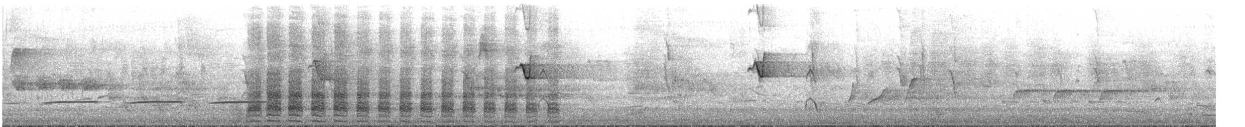 Sarcelle australasienne - ML645245424