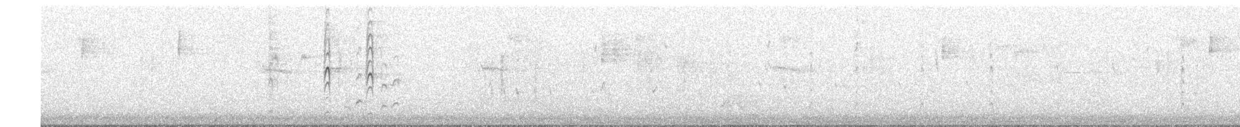 Abanico Gris (alisteri) - ML645245441