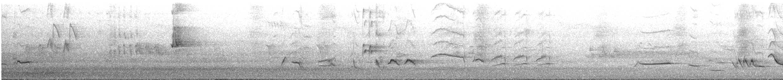 Eurasian Blackbird - ML645245492