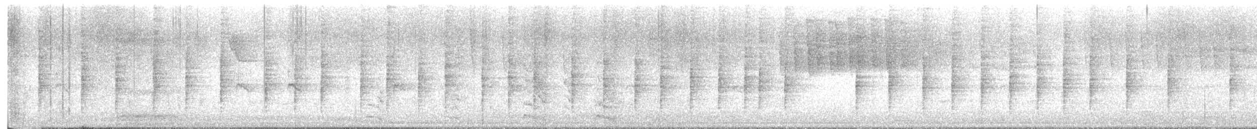 Malagasy Brush-Warbler - ML645245520