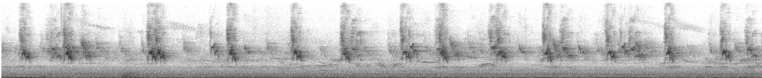 House Sparrow - ML645245569