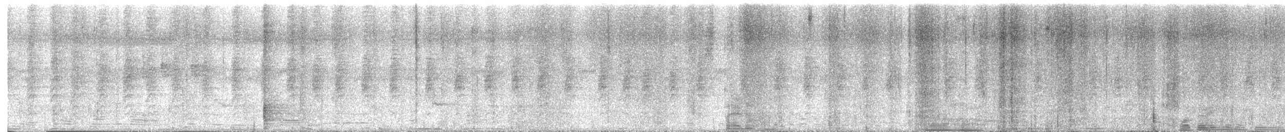 Arañero Chico - ML645245588