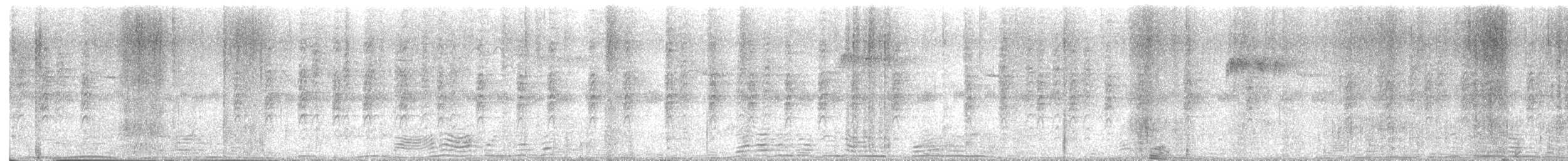 Arañero Chico - ML645245589