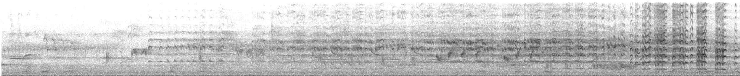 Masked Lapwing (Black-shouldered) - ML645245736