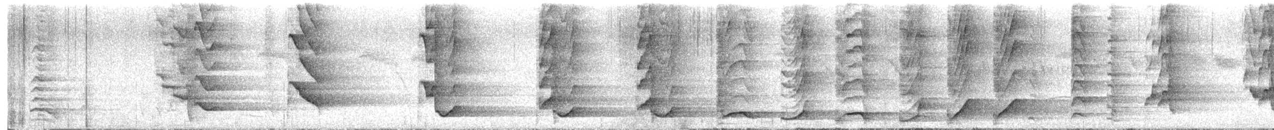 Greater Vasa Parrot - ML645245747